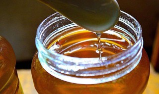 吃土蜂蜜的禁忌 吃土蜂蜜的禁忌和副作用