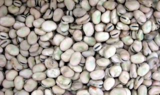 吃蚕豆的禁忌 吃蚕豆的禁忌是什么