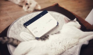 一看书就犯困怎么办 一看书就犯困怎么办如何解决