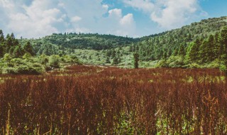 不负好时光经典句子（不负好时光经典句子图片）