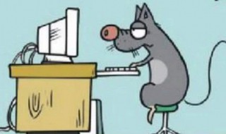 老鼠进家里怎么赶出去 老鼠进家怎么赶出来