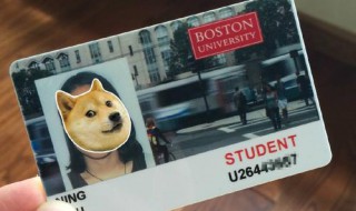 学生卡丢了怎么补办（广州羊城通学生卡丢了怎么补办）