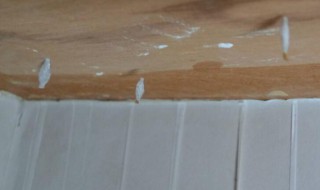 家里有白蚁怎么办（家里有白蚁怎么办能除根）