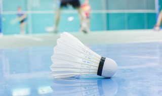 羽毛球大多是什么羽毛制成的 羽毛球大多是用什么的羽毛制成的