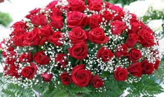 玫瑰花包装方法（玫瑰花包装方法图解）