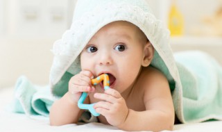 五行属木非常好听的名字 五行属木非常好听的名字女