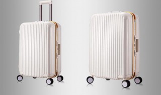 双扣锁行李箱怎么设密码（双扣锁行李箱怎么设密码钥匙）