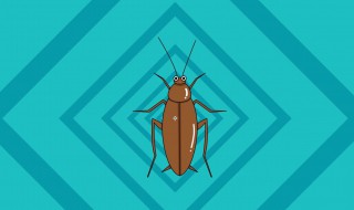 家庭灭蟑螂最好方法 家庭灭蟑螂最好方法十招简单有效