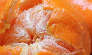 怎么选橘子更甜 怎么选橘子更甜更好吃