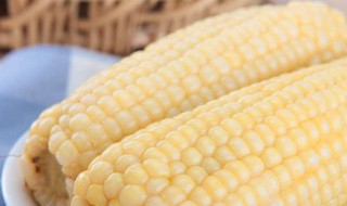 白色糯玉米的功效与作用（白色糯米玉米有什么功效）