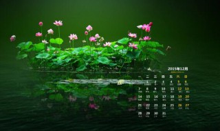 2020年9月宜嫁娶的日子 2020农历九月宜嫁娶的吉日