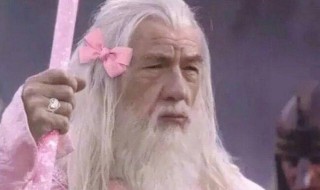 一本正经最后沙雕的故事 一本正经的沙雕段子