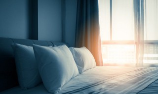 高楼层的蟑螂从哪里来的（低楼层蟑螂从哪里来）