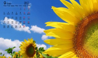 9月黄道吉日有哪几天（9月黄道吉日有哪几天适合领结婚证）