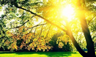 晒伤后皮肤红痛痒怎么办（晒伤了皮肤红痛痒怎么办）