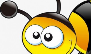 家里进蜜蜂了怎么办（家里进蜜蜂了怎么办找不到怎么办）