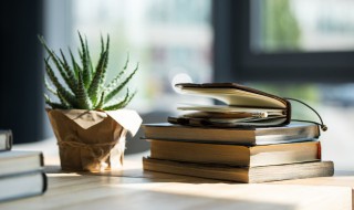 赞美歌唱的好的句子 赞美歌唱的好的句子怎么写