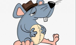 人睡着老鼠会靠近吗 人睡着老鼠会靠近吗图片