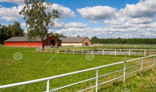 怎么获得更多芭芭农场果树的肥料（怎么获得更多芭芭农场更多肥料）