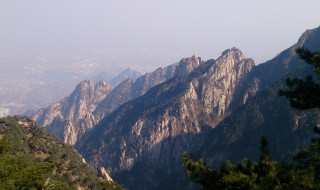 为什么泰山爬单不爬双（爬泰山爬单数好还是双数好）