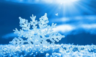 属水最吉利的五十个字 属水最吉利的五十个字,五行属木的吉祥字大全