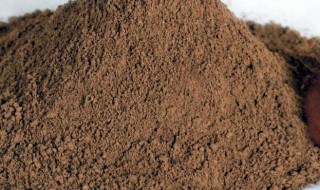 灵芝粉怎么吃好