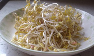 怎么发豆芽简单做法（怎么发豆芽简单做法视频饮料瓶）