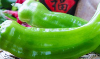 尖椒怎么保存过冬（尖椒怎么保存过冬呢）
