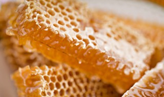 巢蜜怎么保存久点（巢蜜能保存多长时间）