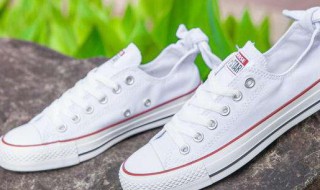 白帆布鞋怎么洗白妙招 帆布小白鞋怎么洗白妙招