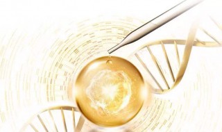 烟酰胺的功效与作用 烟酰胺的功效与作用可以美白吗