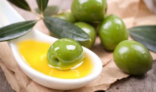 橄榄油作用（食用橄榄油的功效与作用）
