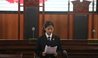 法庭辩论技巧 法庭辩论技巧 两大理论