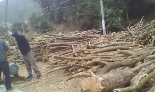 怎样做木材生意（怎样做木材生意赚钱）