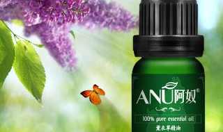 薰衣草精油的作用 薰衣草精油的作用与禁忌