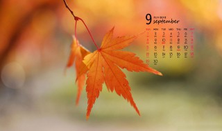 9月份节日（9月份节日大全）