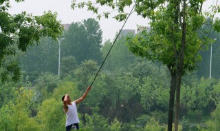 怎么做粘蝉胶 怎么做粘蝉胶水