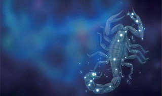 十一月什么星座（十一月什么星座水逆）