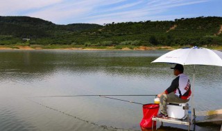 水库垂钓技巧 水库钓鱼技巧大全实用篇
