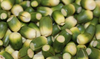 槟榔有什么作用 槟榔有什么作用和功效