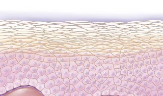 怎么去掉老年斑（怎么去掉老年斑点）