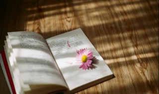 简单干净的短句霸气（干净气质短句霸气）