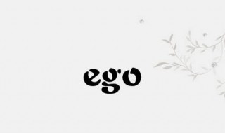 ego是什么意思中文（egos是什么意思中文）