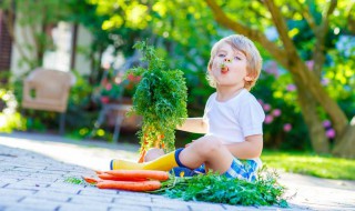 鼠宝带宸的男孩名字（鼠宝带宸的男孩名字怎么取）