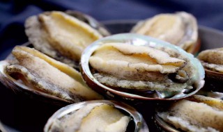 鲍鱼的功效与作用及营养 海参的功效与作用及营养价值