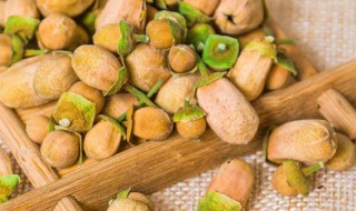 代代花的功效 代代花的功效与作用及禁忌症