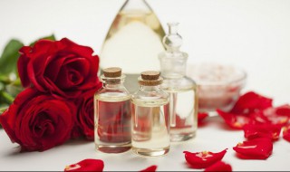 玫瑰精油的功效 玫瑰精油的功效与作用
