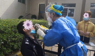 咽拭子是什么意思（咽拭子还有什么）