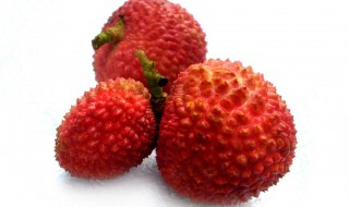 荔枝冷库的储藏方法（荔枝冷库的储藏方法有哪些）