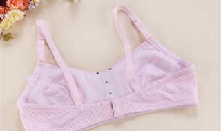 内衣学生怎么选 学生适合什么内衣